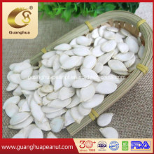 Chinese Good Quality Snow White Pumpkin Seeds